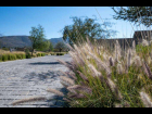 vida-de-campo-en-san-miguel-de-allende-TEV3624161754771595-338