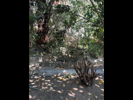 WhatsApp Image 2025-11-23 at 10.38.47 (7)