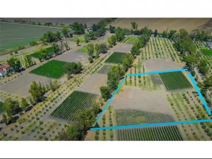 (Residential(Land)(Vineyards)(REMAX) (ID2642L)_0011