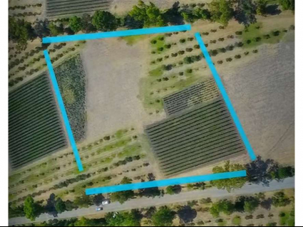 (Residential(Land)(Vineyards)(REMAX) (ID2642L)_0009