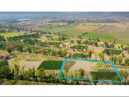 (Residential(Land)(Vineyards)(REMAX) (ID2642L)_0006