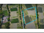 (Residential(Land)(Vineyards)(REMAX) (ID2642L)_0010