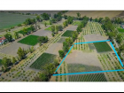 (Residential(Land)(Vineyards)(REMAX) (ID2642L)_0011