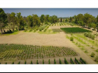 (Residential(Land)(Vineyards)(REMAX) (ID2642L)_0007