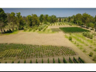 (Residential(Land)(Vineyards)(REMAX) (ID2642L)_0008