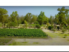lot9