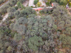 DJI_20260110171448_0010_D copys Large