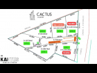 lote cactus