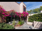 JARDIN ENTRADA