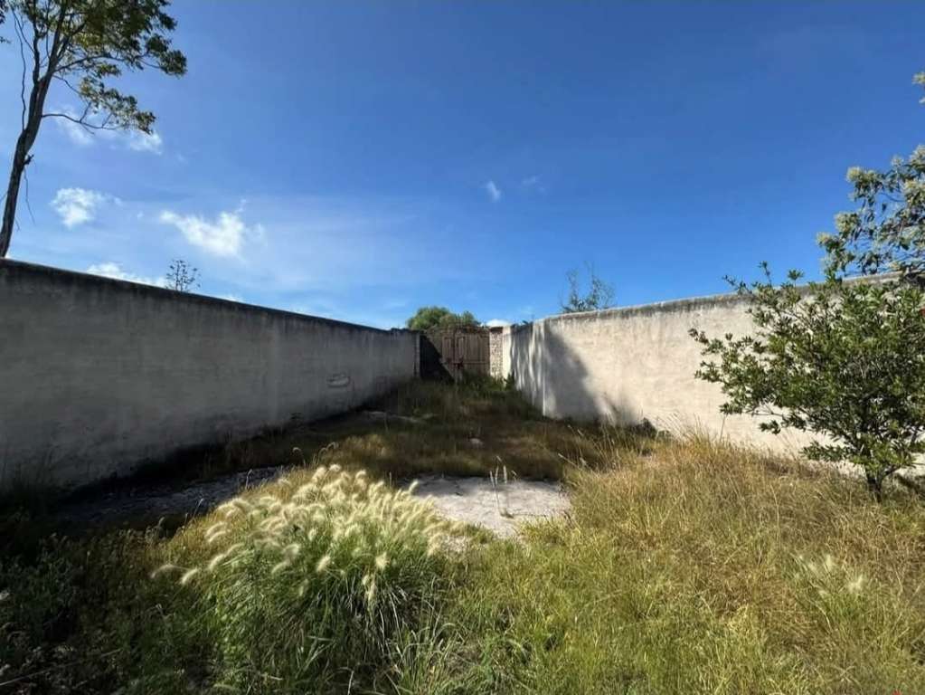 HOUSE FOR SALE IN MINERAL DE POZOS REALTY WORLD SMART09-14-14