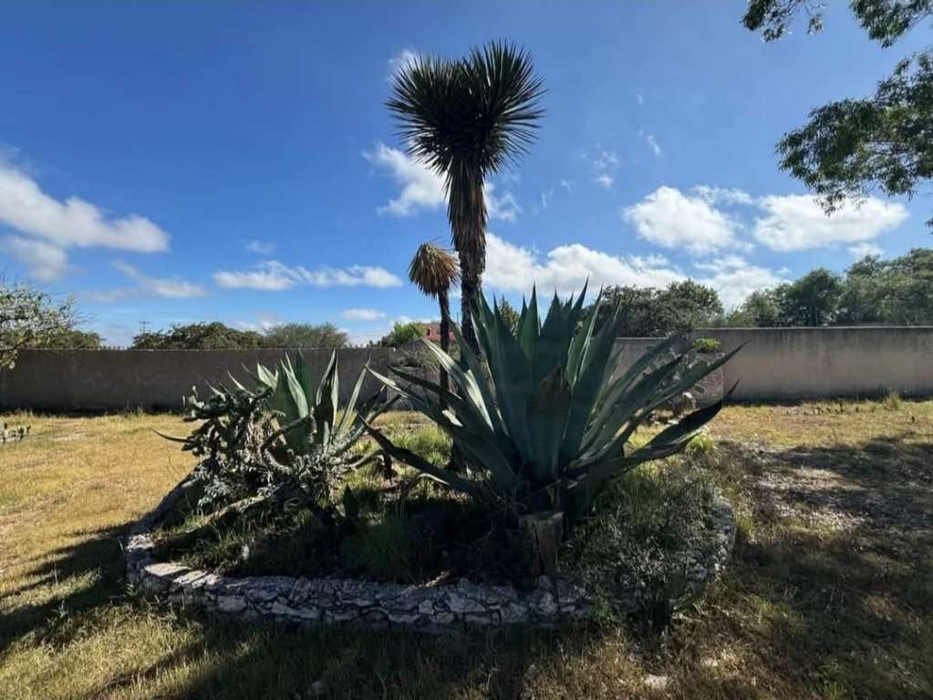 HOUSE FOR SALE IN MINERAL DE POZOS REALTY WORLD SMART09-14-18 3