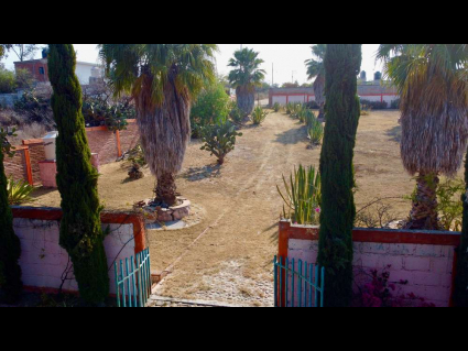 DJI_0954