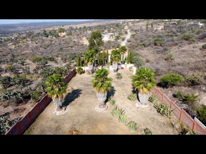 DJI_0934