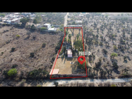 DJI_0928
