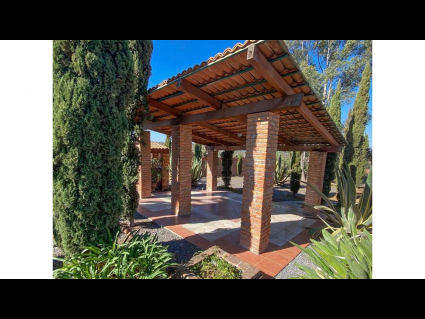 patio 4