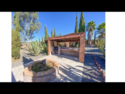 patio jardin 10