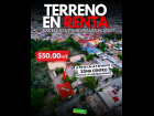 POST OCTUBRE BR (84)