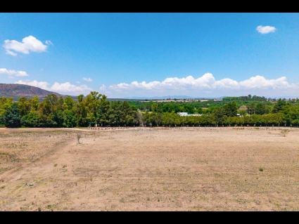 Lote_010