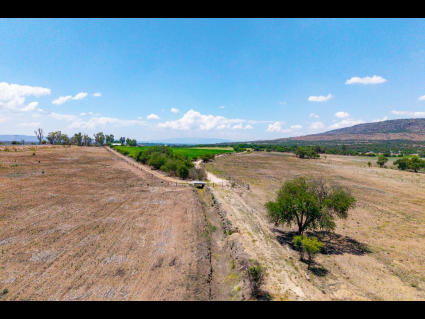 Lote_011