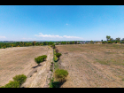 Lote_013