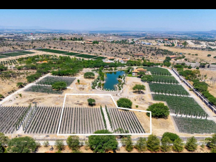 Lote_030(1)