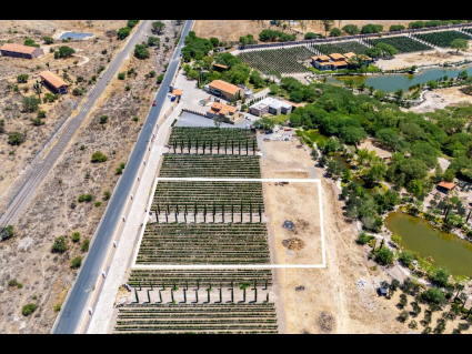 Lote_003(2)