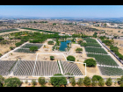 Lote_030(1)