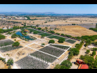 Lote_029(1)