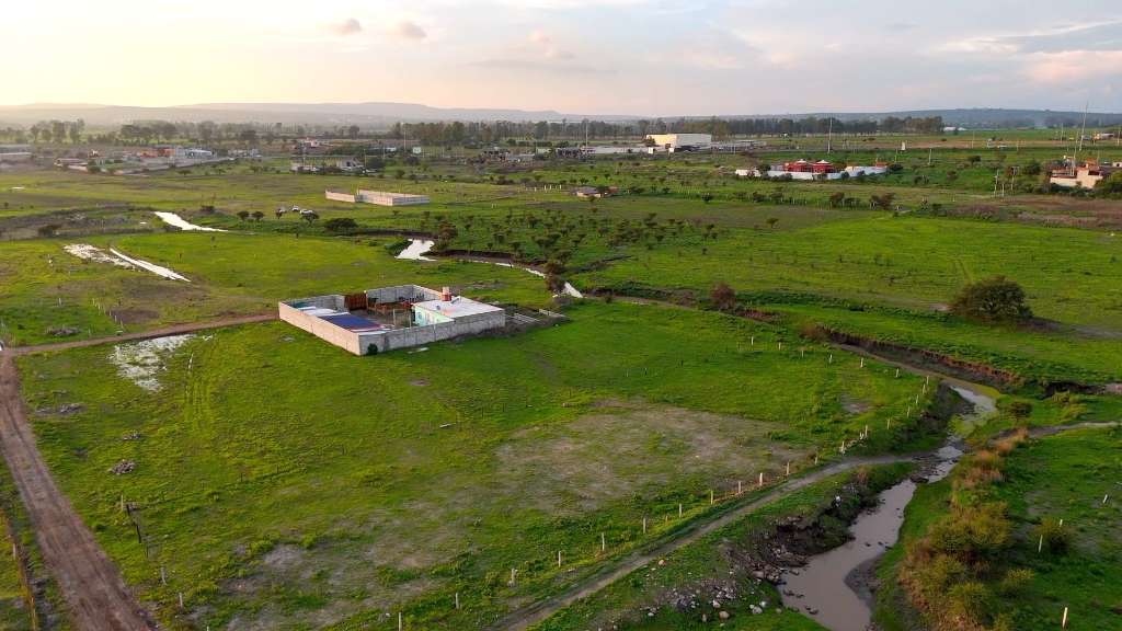 sos10