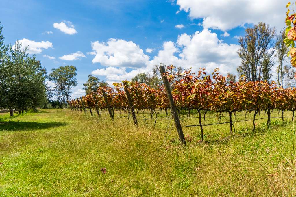 _DSC1729-HDR