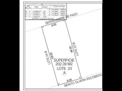 lote 2102 A