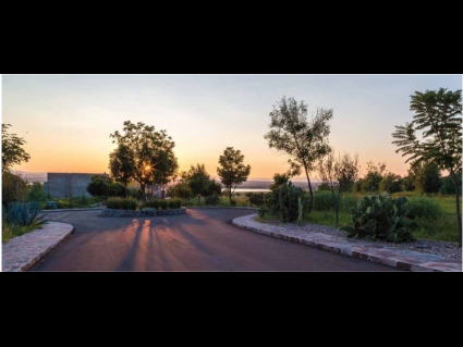 Losilla al atardecer