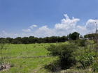 Lote Mza 2