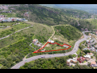 Lote_007