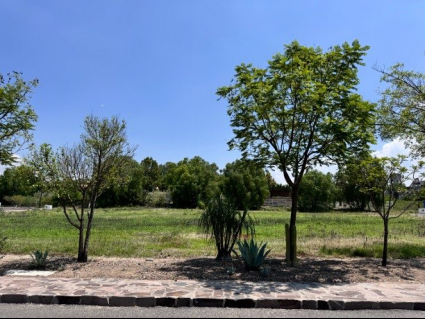 Lote Mza 7