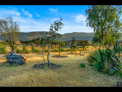 Lote_013