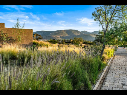 Lote_015