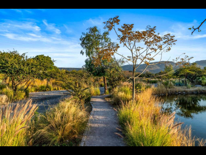 Lote_011