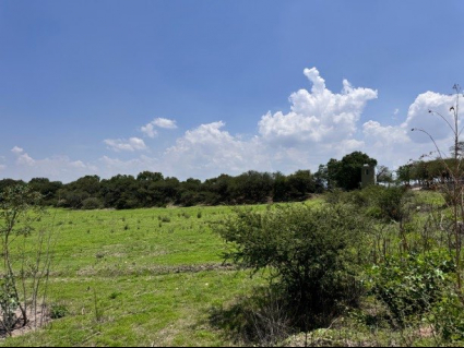 Lote Mza 2