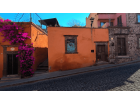 Captura 2025-02-10 164356_1.1.1