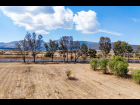 Lote_010