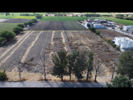 DJI_0662