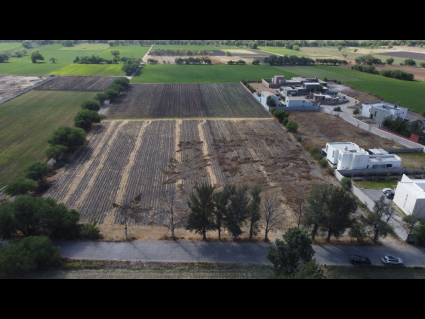 DJI_0663
