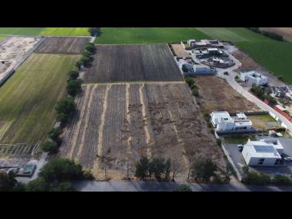 DJI_0664