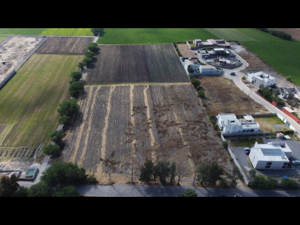 DJI_0665