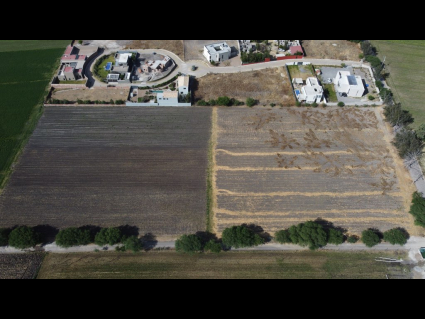 DJI_0667