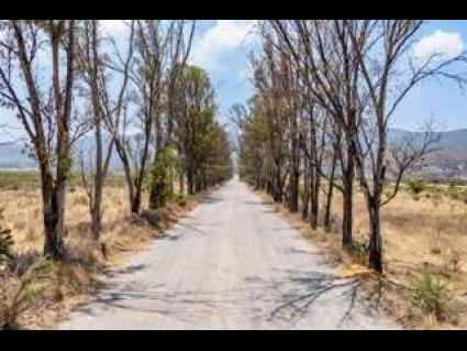 Lote_007 de tamaño pequeño