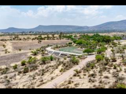 Lote_012 de tamaño pequeño