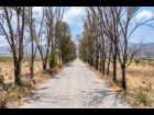 Lote_007 de tamaño pequeño