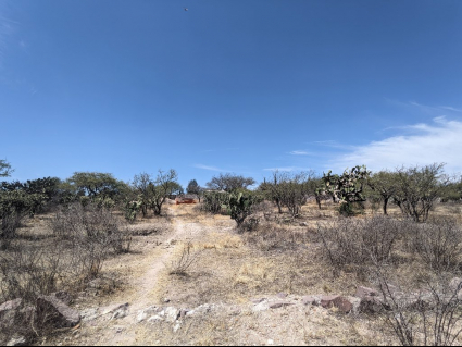 Lote Ponce 1